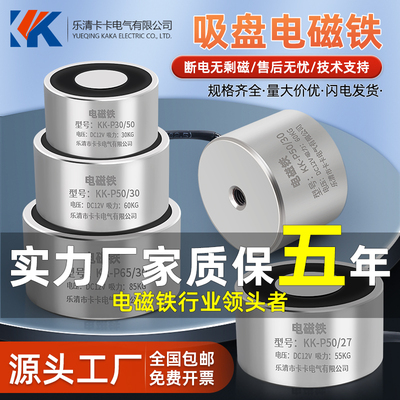 小型电吸铁吸盘式电磁铁P8/20 P15/35 P10/10圆形电磁铁P150/50