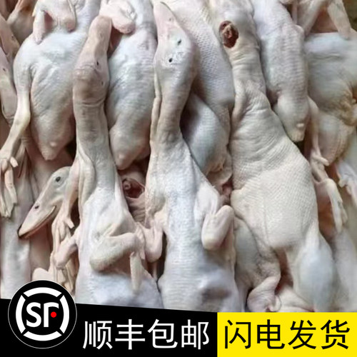 广东新鲜现杀4只乳鸭妙龄鸭bb鸭光鸭BB鸭仔冰鲜生冷冻0.8-1.1斤