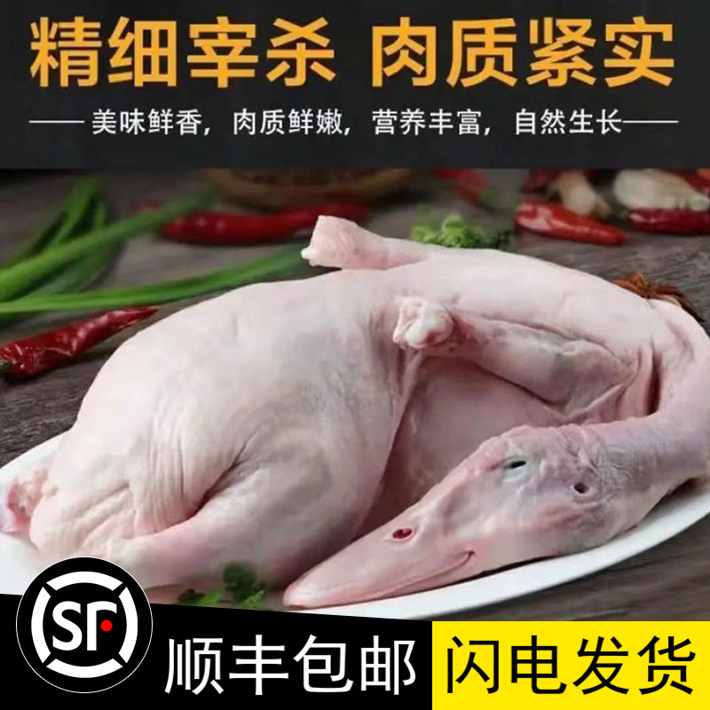 广东新鲜现杀4-6斤大白鸭整只鸭肉/鸭肉制品