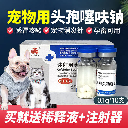 中龙神力猫狗药品感冒皮肤炎症