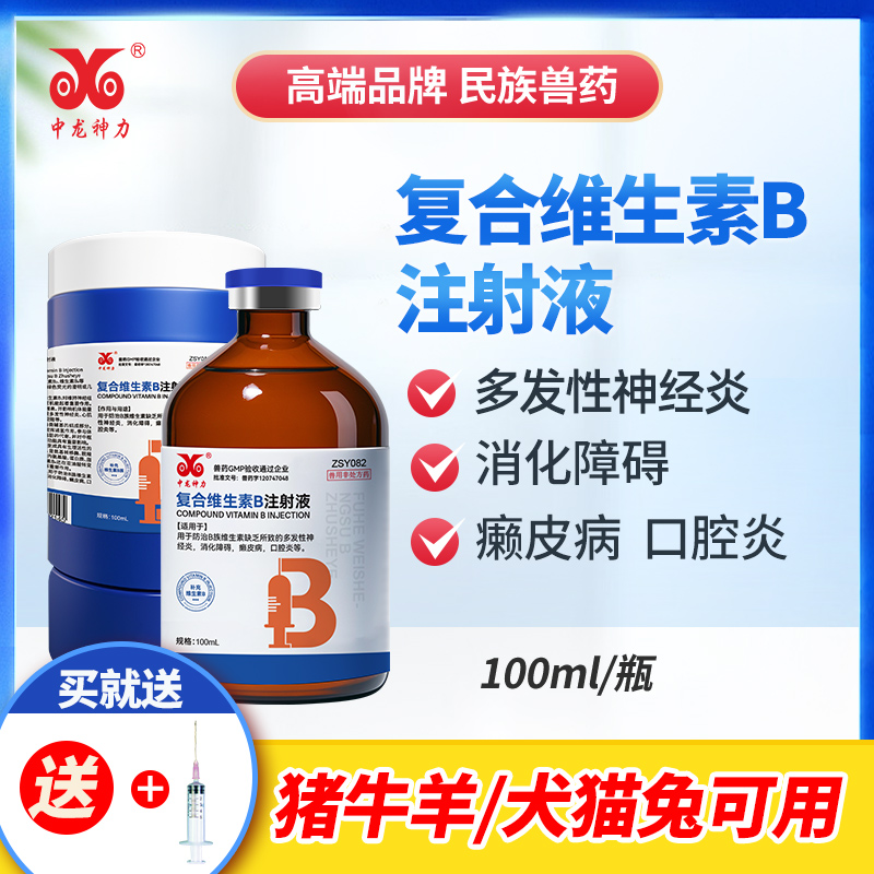 中龙神力复合维生素B注射液100ml