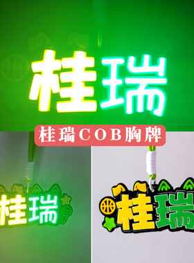 桂瑞发光小挂件粉丝演唱会TF四代胸牌张桂源张函瑞应援灯牌定制