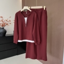 休闲气质卫衣上下套装 秋季 气质运动服中老年女士两件套 新款 妈妈装