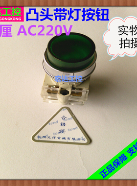 正品TEND杭州天得22厘T21LG-1A绿色带灯凸头按钮开关自复位1开1闭