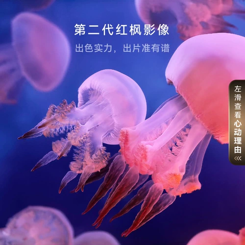 [Размещайте заказы и наслаждайтесь красными конвертами] HUAWEI Huawei Mate X7 Чип Huawei Kirin 9030Pro сверхнадежный складной мобильный телефон Huawei со складным экраном Официальный флагманский магазин подлинный 2127