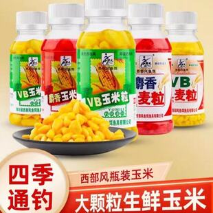 西部风VB玉米粒鲤鱼青草鳊翘嘴鲫野钓嫩玉米王麦粒VB麦粒海平线
