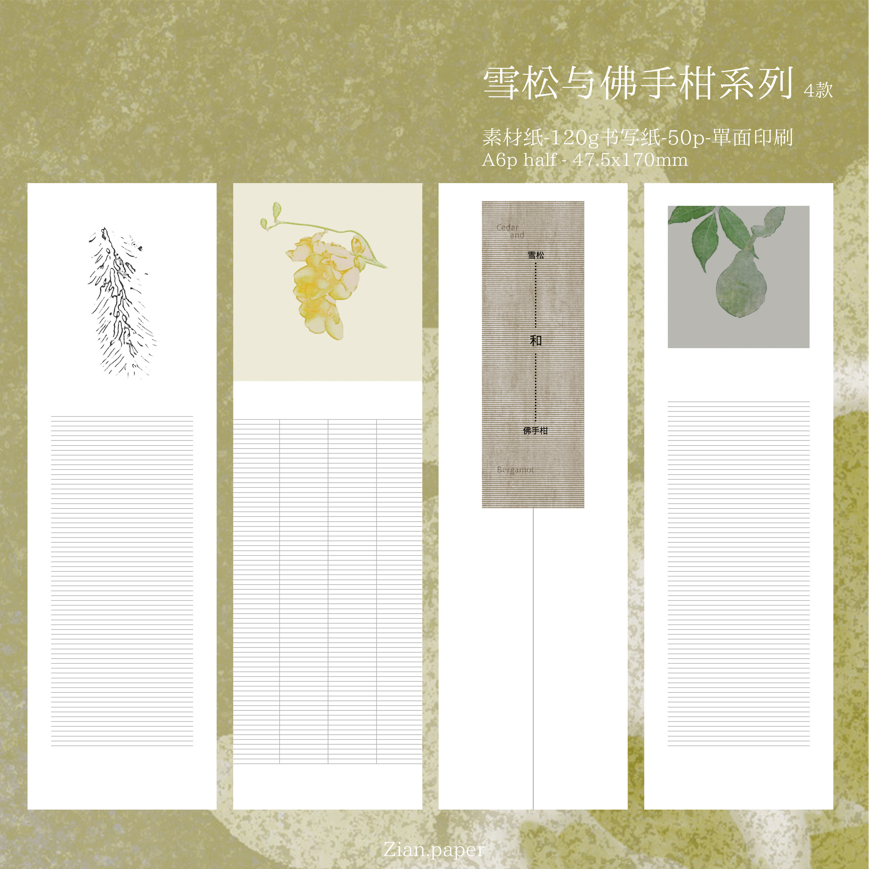 雪松与佛手柑系列4款多色植物