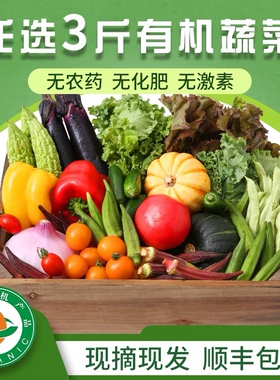 旭耕 任选3斤当季时令有机蔬菜套餐孕婴轻食新鲜现摘现发顺丰包邮