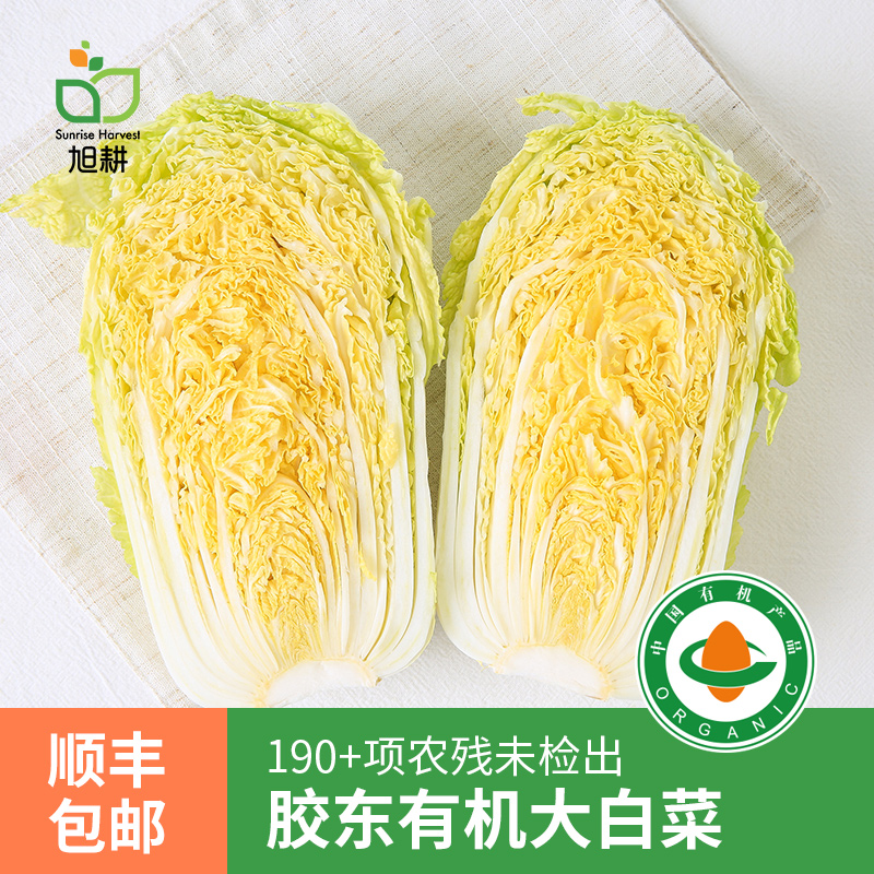 旭耕有机大白菜新鲜山东胶东黄心娃娃菜现摘现发蔬菜10斤顺丰包邮