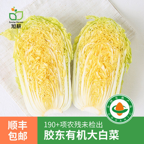 旭耕有机大白菜新鲜10斤顺丰包邮