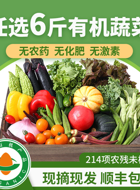 旭耕任选6斤 有机蔬菜新鲜套餐轻食沙拉时令果蔬礼盒包装礼品