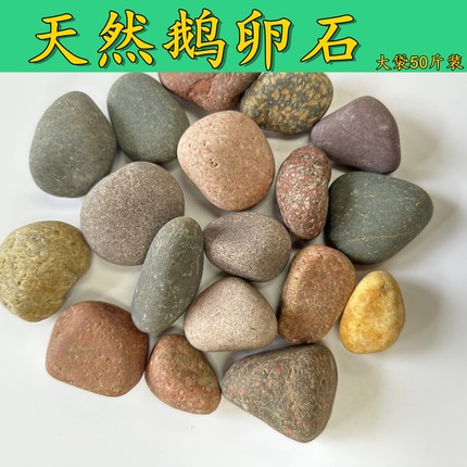 天然鹅卵石石头铺路石子园艺布景石鱼缸雨花石鹅暖石铺地9斤包邮