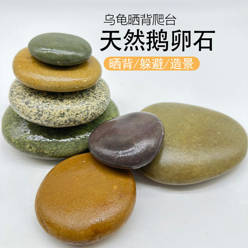 天府园艺乌龟晒台天然扁平