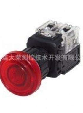 韩国 KGAUTO 带灯按钮 KGEX-H4BD21 原装进口