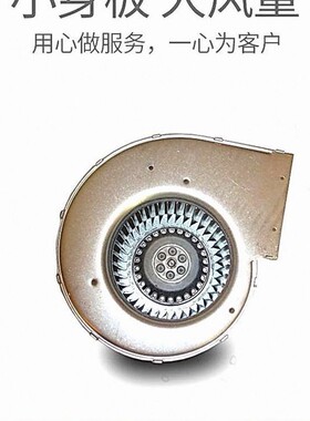 励磁整流柜风机CESOTEC GDRM35-133B-2 带原装启动电容 现货供应