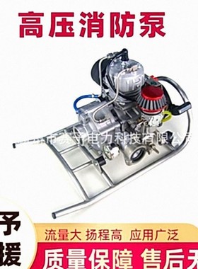 15TL20-B-4DS消防泵立式双级便携高压消防泵200米扬程供水泵