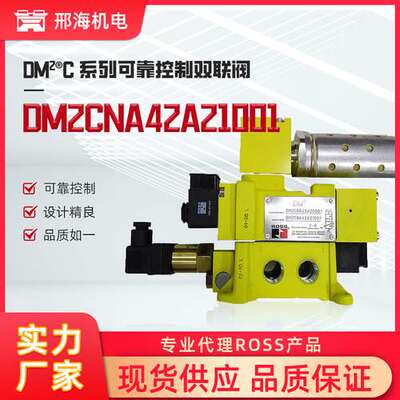 罗斯ROSSDM2系列阀门DM2CNA42A21001双联阀气体液体控制阀供应商