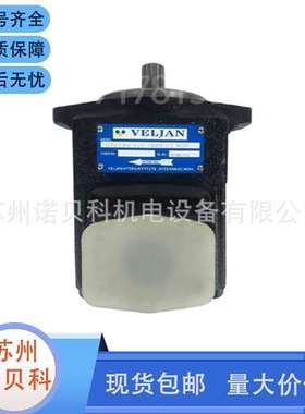 印度VELJAN维京叶片泵VT6C-B31 B28 B25-1R00-B1 2R00 1R01 02 03