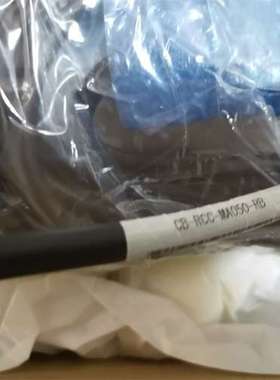 IAI  ERC2-RA6C-I-PM-12-250-PN-N-B   ACON-CYB-20WAI-NP-0-0-DN