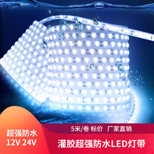 12V 24VLED5050贴片IP68硅胶软套管灌胶防水灯带鱼缸水底用软灯条