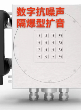 隔爆型数字抗噪音电话 防爆扩音电话机EXIBIICT6Gb/ExtDA21有证