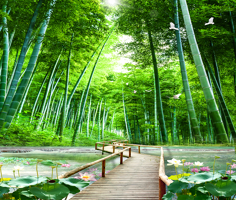 直播背景布立体主播墙纸3D农村山水草原竹林室外田园风景荷花拍照