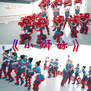 小狮妹演出服儿童舞狮子舞蹈服醒狮子头道具六一幼儿园动物表演服