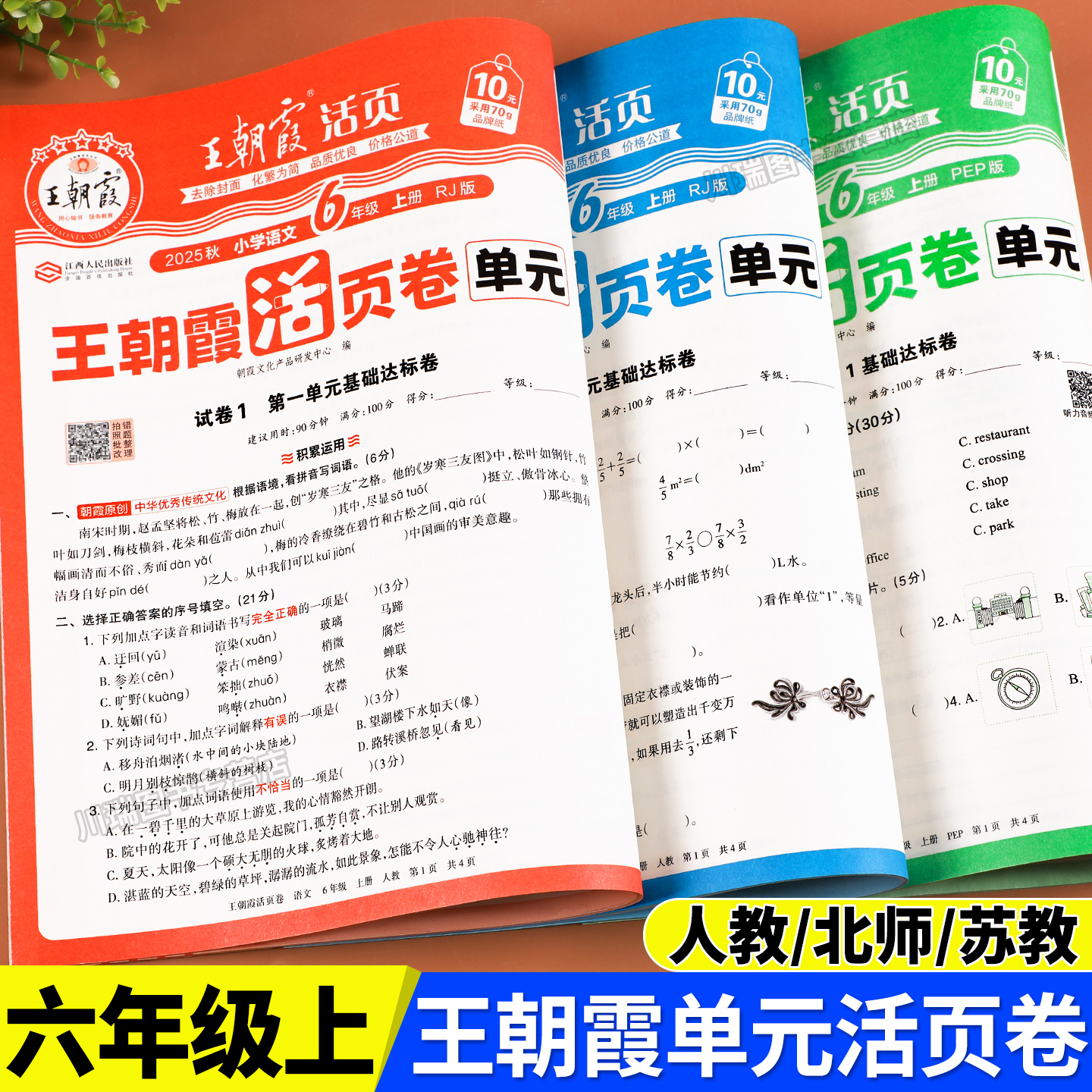 六年级上册试卷王朝霞官方正版
