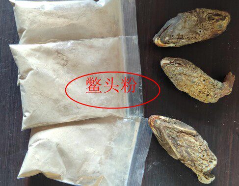 现磨鳖头粉 鳖首粉 甲鱼头粉50克