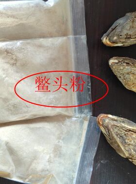 现磨鳖头粉 鳖首粉 甲鱼头粉50克