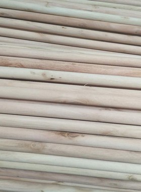 小圆木棒粗大圆木棍多规格木杆diy手工模型材料实桉木挂毯直径2cm