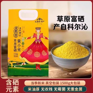 2024年新收黄小米 皇栖谷小米扎鲁特旗富硒黄小米浓稠香甜小米粥