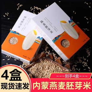 【500克*4盒】犁捌苑武川燕麦胚芽米粗粮煮粥焖饭杂粮米内蒙
