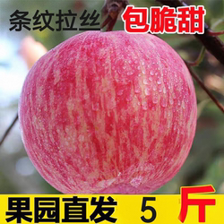新鲜水果河北邢台浆水苹果红富士整箱农家应季水果5斤装脆甜苹果
