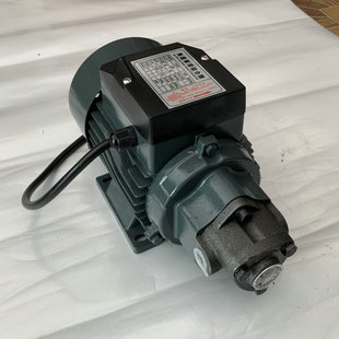4HP 润滑油泵220V静音自吸抽油泵单相电动机驱动齿轮泵TOP 12A