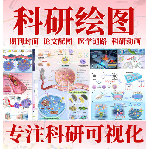 科研绘图医学插图代画机制图SCI期刊封面建模origin流程示意图ppt
