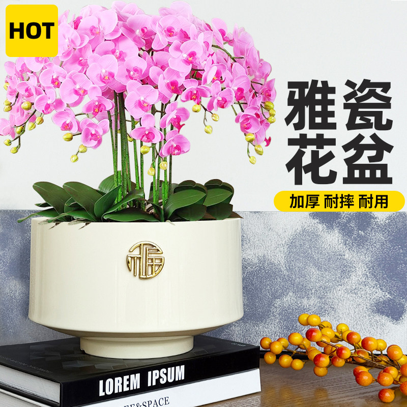 蝴蝶兰花盆塑料仿陶瓷拼组专用大号加厚耐用轻奢高级感家用树脂,鲜花速递/花卉仿真/绿植园艺,花盆,淘宝优惠券,粉丝福利购,淘宝优惠卷