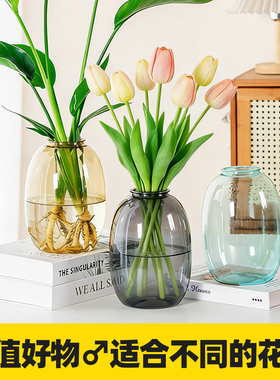 花瓶摆件客厅插花轻奢高级感富贵竹专用情绪稳定黑色透明水养水培