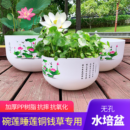 睡莲碗莲盆无孔荷花盆塑料家用庭院专用阳台养铜钱草花盆水培大号