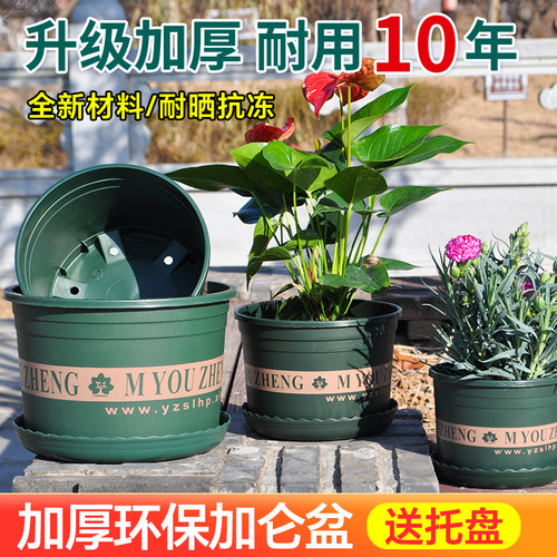 塑料家用矮加仑花盆小多肉盆加厚耐用绿萝月季专用盆盆栽大加仑盆