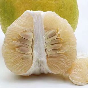 正宗江西南康甜柚斋婆柚南康沙田柚白心柚子蜜柚赣州纯甜沙田柚