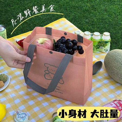 妈咪包踏青通勤无纺布按扣手提袋