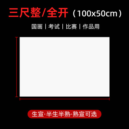 三尺全开50x100cm厘米生宣纸3尺整张国画考试作品纸半生熟夹宣纸