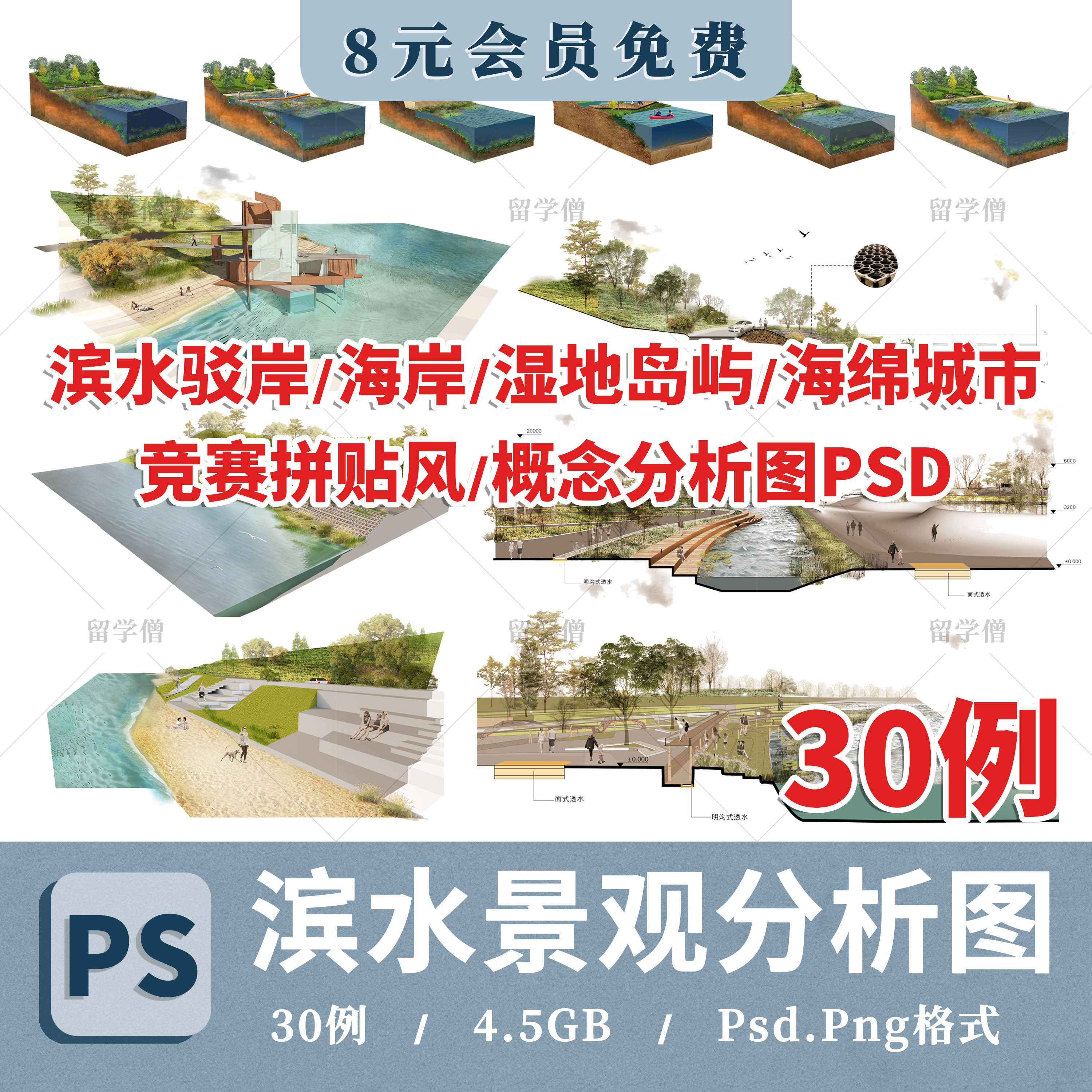 滨水驳岸湿地剖面分析图PSD源文件剖立面分析环艺建筑竞赛分析图