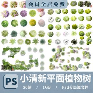 2024ps小清新植物彩平图素材ps竞赛风顶视平面树素材psd分层素材