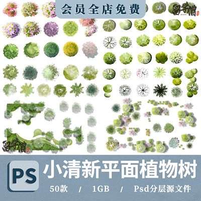 2025ps小清新植物彩平图素材ps竞赛风顶视平面树素材psd分层素材