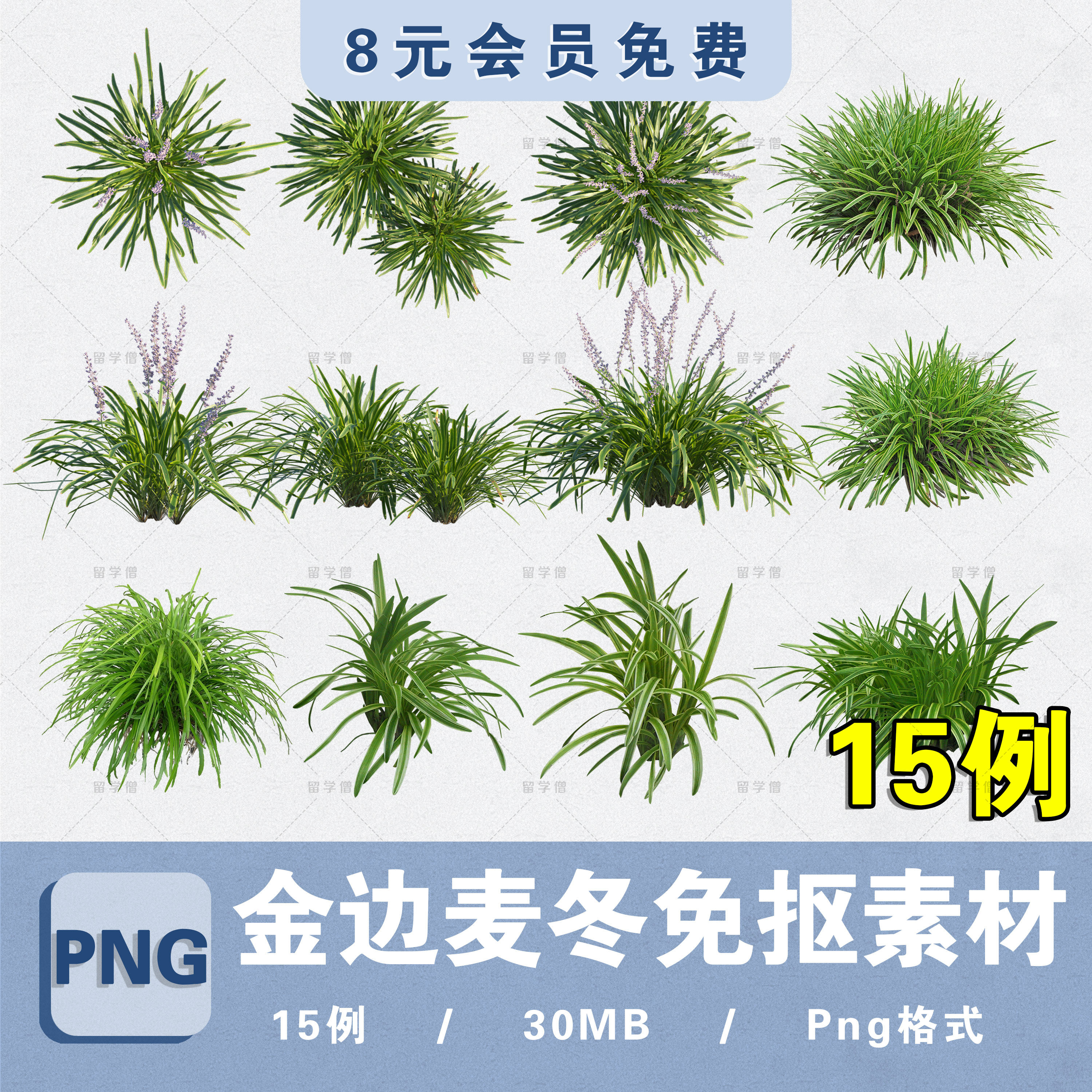 地被植物金边麦冬植物PNG高清免抠PS金边麦冬procreate拼贴图素材,商务/设计服务,设计素材/源文件,淘宝优惠券,粉丝福利购,淘宝优惠卷