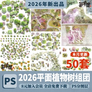 2026小清新PS彩平图平面植物组团彩平植物PS平面树PSD分层素材