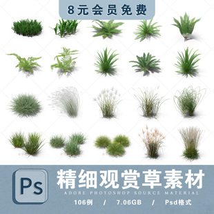 观赏草单体素材ps单株观赏草草丛组团免扣ps绿植高清单体配景贴图