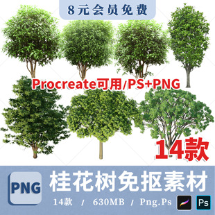 桂花树PS效果图素材PNG免抠透明底桂花鸟瞰PSD素材procreate贴图